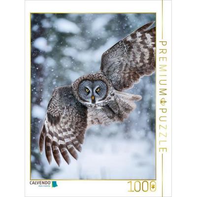 CALVENDO Puzzle Eule im Flug | 1000 Teile Lege-Größe 64x48cm Foto-Puzzle für glückliche Stunden, Sonstige von , Calvendo Puzzle