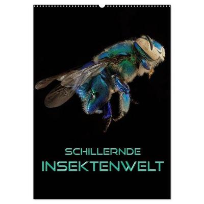 Schillernde Insektenwelt (Wandkalender 2026 DIN A2 hoch), CALVENDO Monatskalender