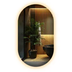 LED-SPIEGEL 52x90 cm Asymmetrisch Warmweiß 3000K