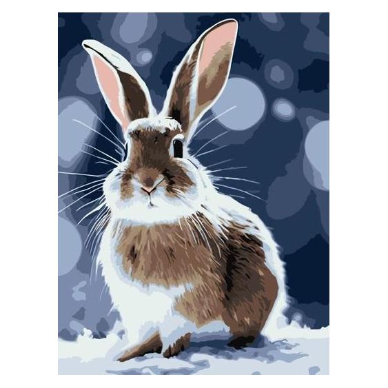Qbee Malen nach Zahlen - Bo der Hase 30x40cm (58220133)