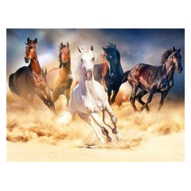 Magni Diamond Painting Galoppierende Pferde (6037-40151)