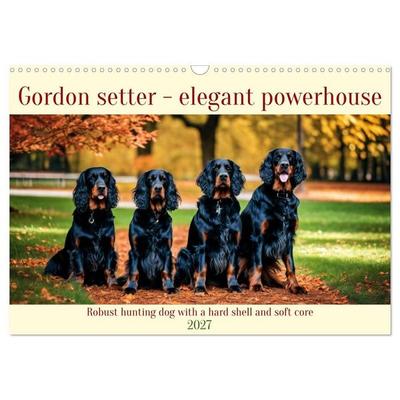 Gordon Setter - elegant powerhouse (Wall Calendar 2027 DIN A3 landscape), CALVENDO 12 Month Wall Calendar