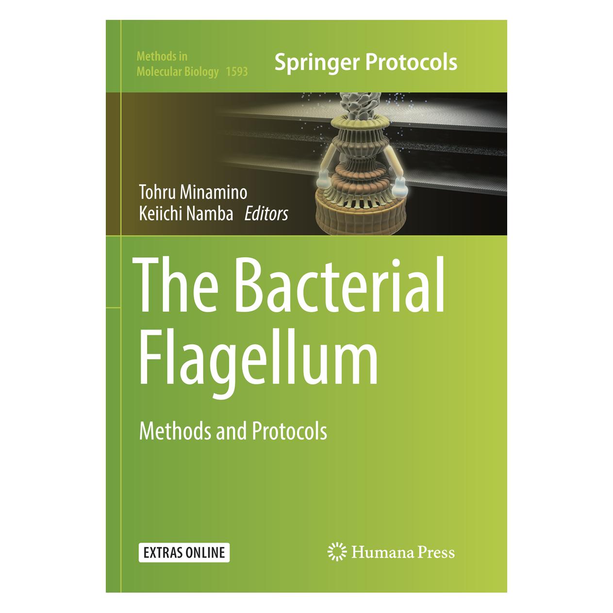 Springer The Bacterial Flagellum (Englisch, Softcover, Keiichi Namba, Tohru Minamino) (56001244)