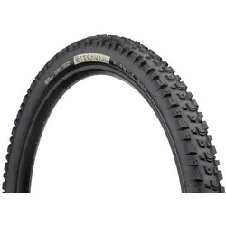 TERAVAIL Reifen WARWICK 29 x 2,5 Light and Supple FC | schwarz