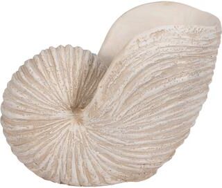 "Sagebrook Home Coastal Neutral 18"" Ivory Shell Sculpture - 18"" x 11"" x 13"""