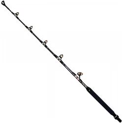 Shimano, Angelrute, (165 cm)