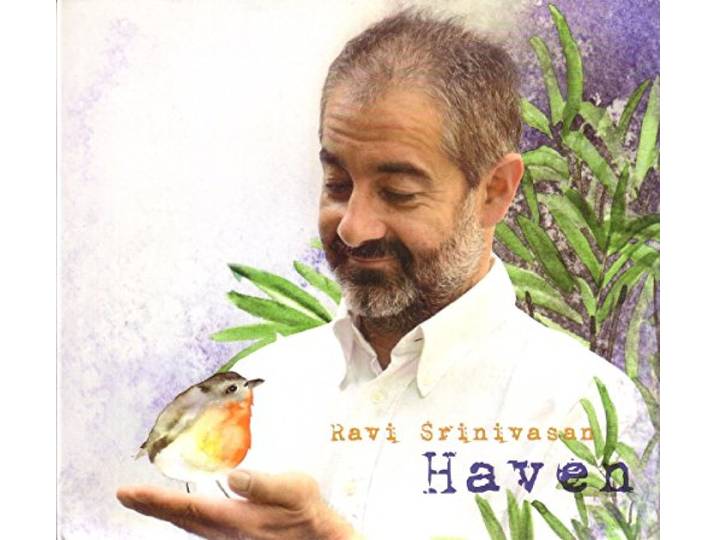 Ravi Srinivasan - Haven
