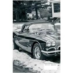 Born to Run, Fachbücher von Bruce Springsteen