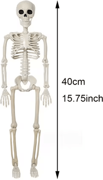 Inspire Curations Posable Human Skeleton Halloween Decoration Life Size Horror Prop skeleton 40cm