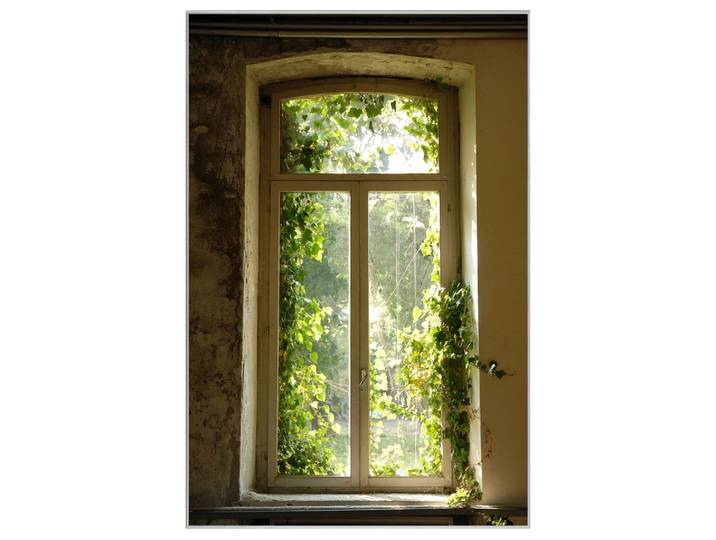 Bild mit Rahmen Fenster Bewachsen mit Laub image LAND