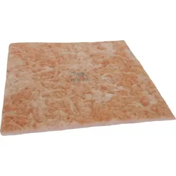 WEL T0058762857 - Feinstaubfilter F7 (10 Stück) für ZeroSmog TL