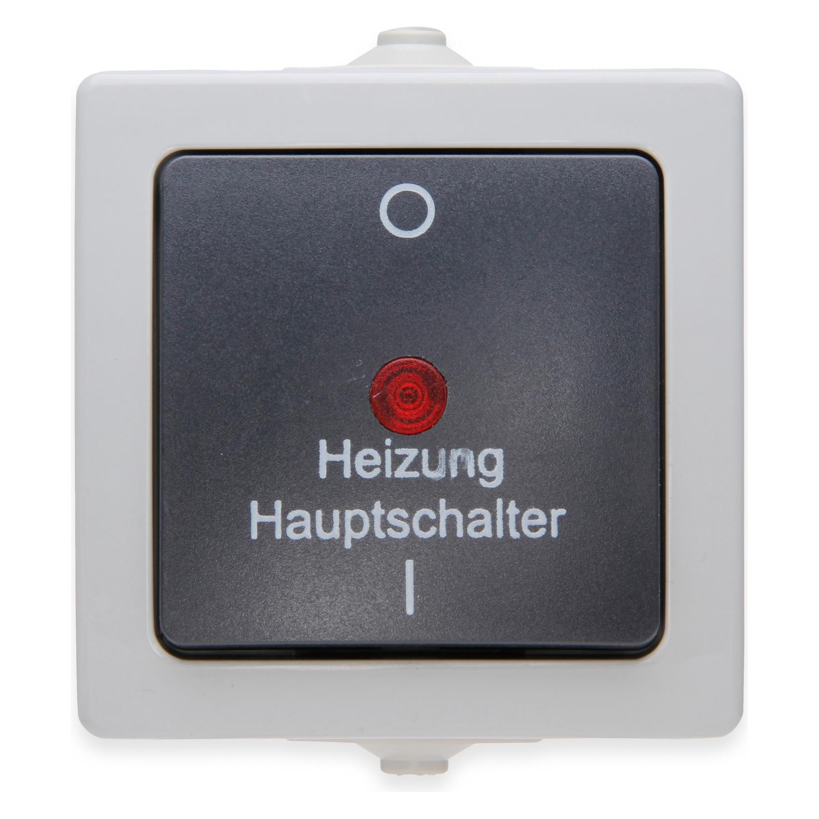 Kopp Nautic Aufputz-Feuchtraum Heizungshauptschalter 2-polig beleuchtet mit Linse (565356002)