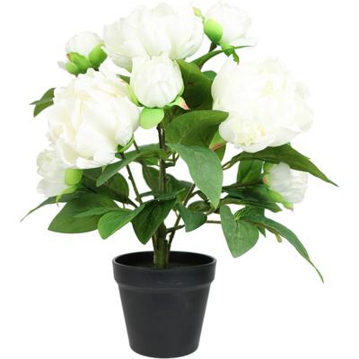 Kunstpflanze I.GE.A. "Künstlicher Päonienbusch im Topf", weiß, B:31cm H:40cm T:25cm, Polyester, Kunstpflanzen, Kunstpflanze, 40cm Pfingstrose Päonie Dekoblumen Kunstblume Deko Hochzeit