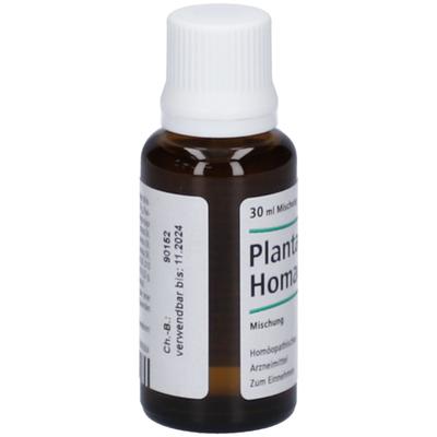 Plantago Homaccord Tropfen 30 ml