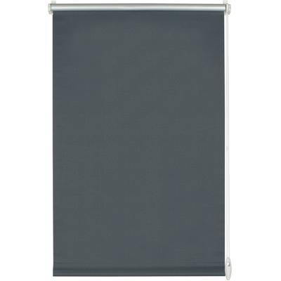 Seitenzugrollo GARDINIA "EASYFIX Rollo Thermo ENERGIESPAREND", grau (schieferfarben), B:110cm H:150cm, Polyester, Rollos, Seitenzugrollo, abdunkelnd mit Thermobeschichtung