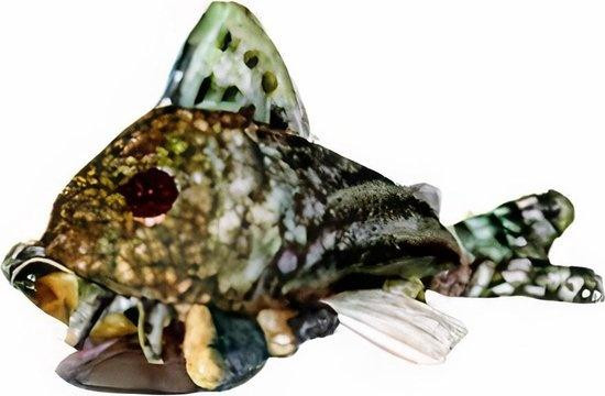 CeramicNature Sterbai Corydoras Plush