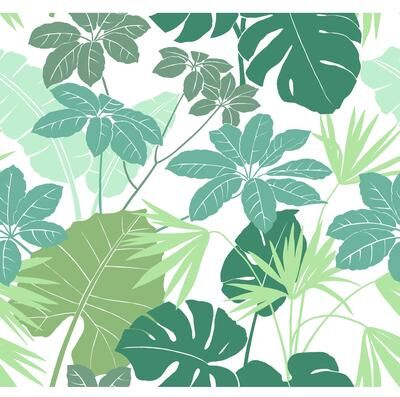 A-Street Prints Medellin Green Rainforest Floor Wallpaper