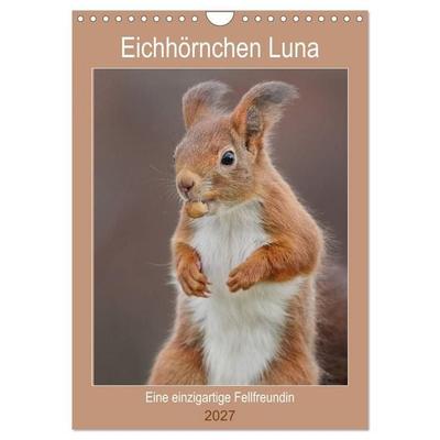 Eichhörnchen Luna (Wandkalender 2027 DIN A4 hoch), CALVENDO Monatskalender