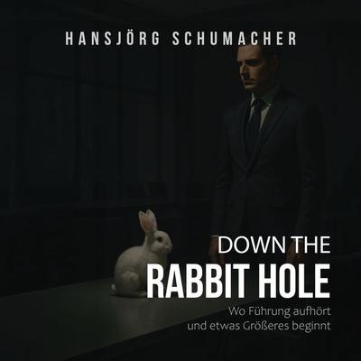 Down the Rabbit Hole - HansJörg Schumacher, Audio, 9783691491975