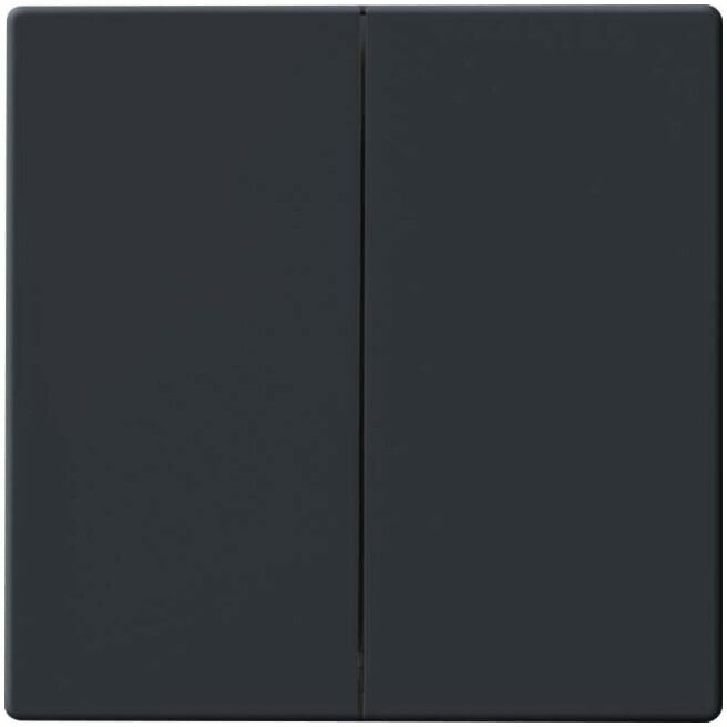 Busch-Jaeger Bascule anthracite pour télécommande 6736 FoH-81 (2CKA006730A0133)