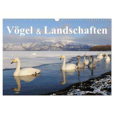 Vögel & Landschaften (Wandkalender 2027 DIN A3 quer), CALVENDO Monatskalender