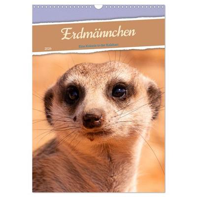 Erdmännchen - Eine Kolonie in der Kalahari (Wandkalender 2026 DIN A3 hoch), CALVENDO Monatskalender