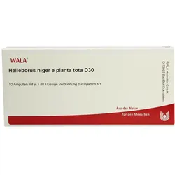 Helleborus Niger e planta tota D 30 Ampu 10X1 ml