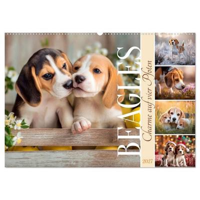Beagles - Charme auf vier Pfoten (Wandkalender 2027 DIN A2 quer), CALVENDO Monatskalender
