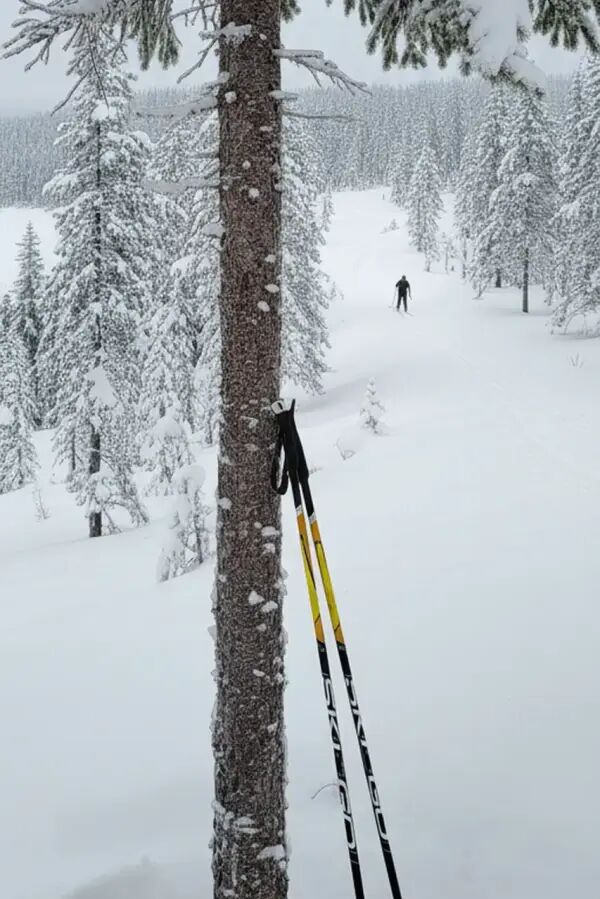 Langlaufstöcke Skigo Attack Touring (125cm - Schwarz)