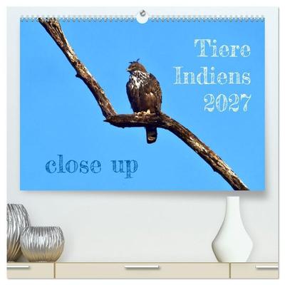 Tiere Indiens close up (hochwertiger Premium Wandkalender 2027 DIN A2 quer), Kunstdruck in Hochglanz