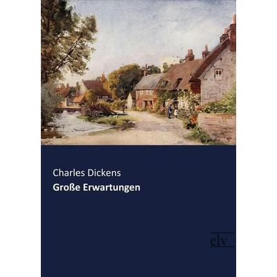 Große Erwartungen, Taschenbuch von Charles Dickens, Europäischer Literaturverlag, 978-3-95909-262-3