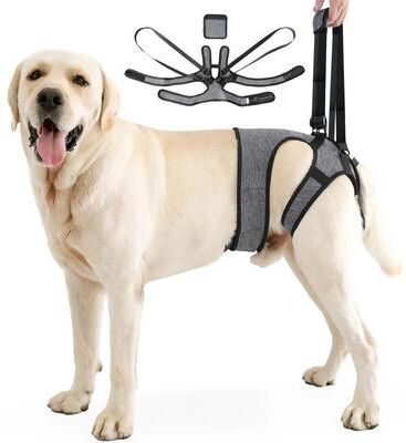 Uplift Picks SupportStride Dog Lift Harness For Hind Leg Walking Assistance gray m