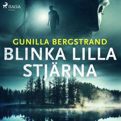 Blinka lilla stjärna - Gunilla Bergstrand, Audio, 9788726582574