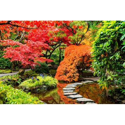 Fototapete PAPERMOON "JAPANISCHER GARTEN-BLUMEN BÄUME SEE NATUR HERBST WALD", bunt, B:4,5m L:2,8m, Vlies, Tapeten