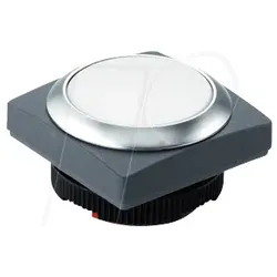 RAFI 38.88.13 - FS+ 22 - Drucktaster - quadrat, metall, ws, bel
