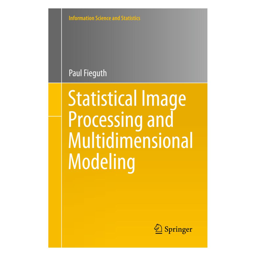 Springer Statistical Image Processing and Multidimensional Modeling (Englisch, Softcover, Paul Fieguth) (55510004)