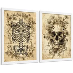 POSTER Set aus 2 Anatomie Mensch Drucke und Wandbilder mit Schädel Wirbelsäule Rippen Becken Klassisches Vintage Design Größe Weißer Rahmen A3