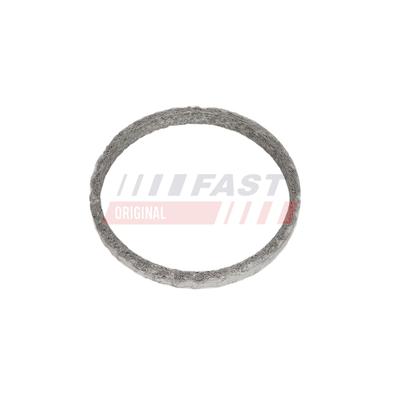 FAST Dichtung, Abgasrohr FT14573 für VW
