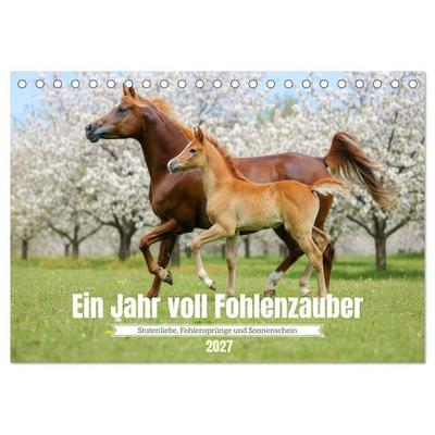 Ein Jahr voll Fohlenzauber (Tischkalender 2027 DIN A5 quer), CALVENDO Monatskalender