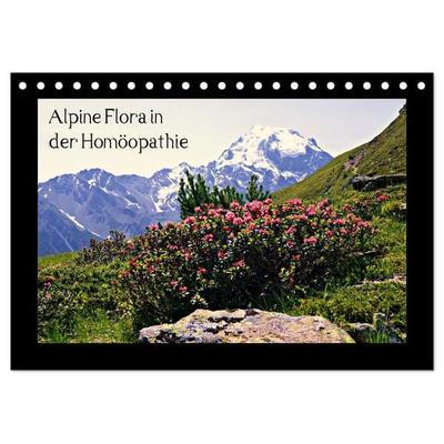 Alpine Flora in der Homöopathie (Tischkalender 2026 DIN A5 quer), CALVENDO Monatskalender