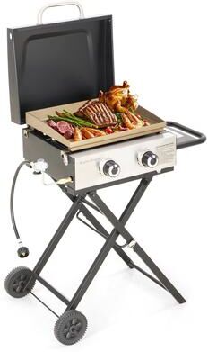 MAISON ARTS 2 Burner Portable Gas Grill Griddle, Small Propane BBQ grill with Foldable Legs & Wheels