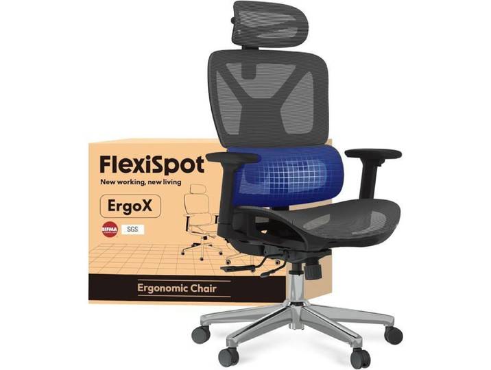 FlexiSpot Chaise de Bureau Ergonomique Appui-tête 3D Accoudoir 3D et Support Lombaire 5D Indépendant en Maille Gris