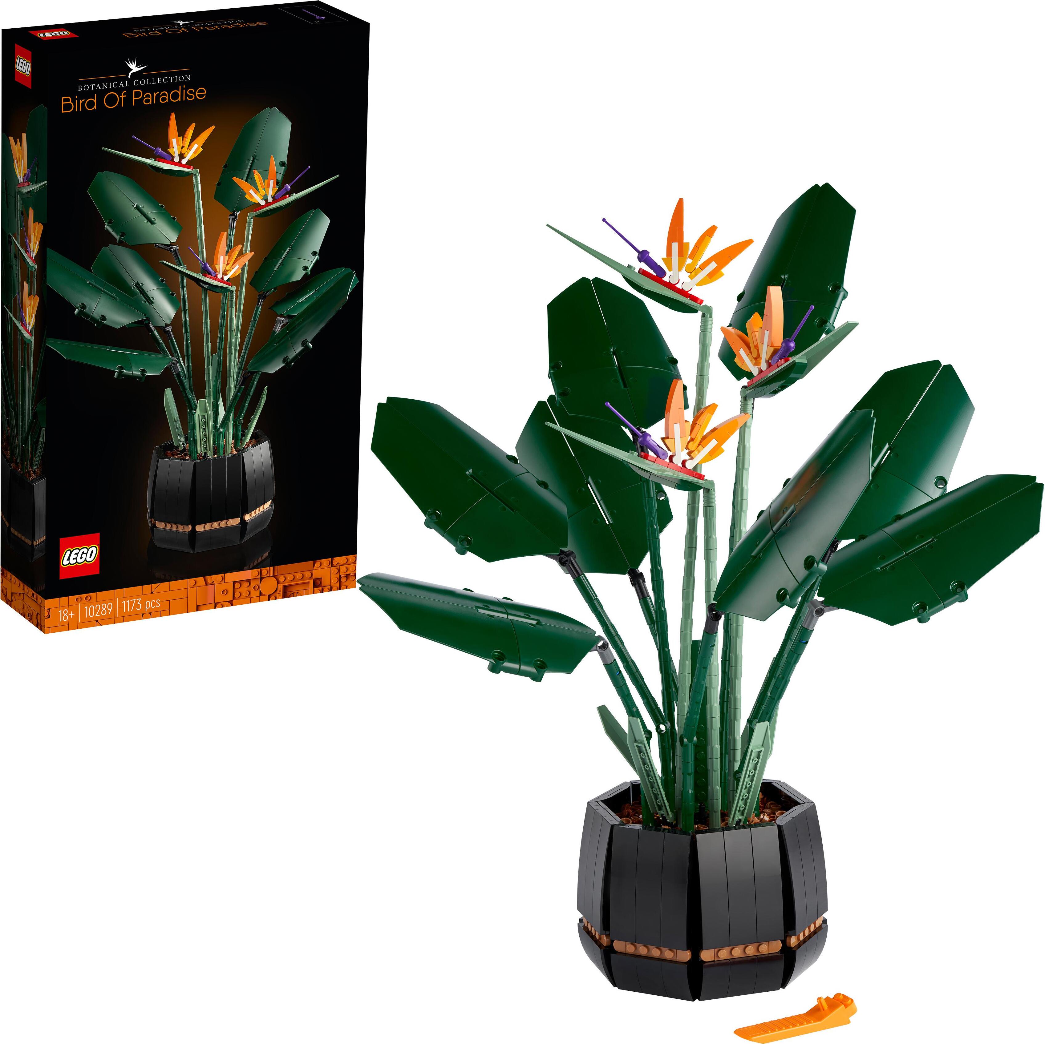 LEGO 10289 Icons Paradiesvogelblume, künstliche Pflanzen und Blumen, Set für Erwachsene