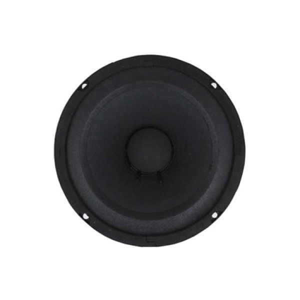 American Bass SQ6