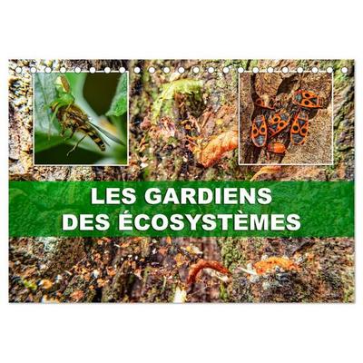 Les gardiens des écosystèmes (Calendrier de bureau 2027 DIN A5 vertical), CALVENDO calendrier mensuel
