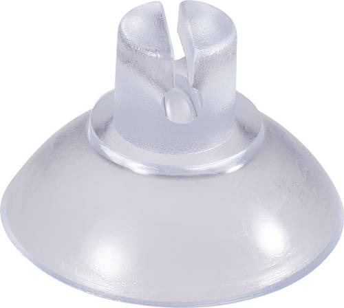Kash Saugnapf 1.1.2050LS Klar, Transparent
