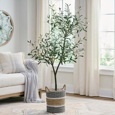 Eco Convert Olive Tree - Grandin Road