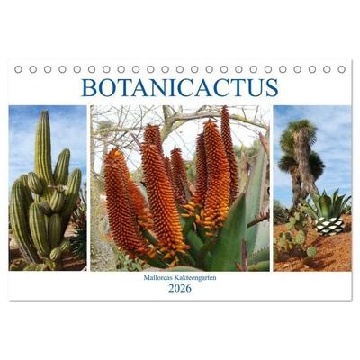 BOTANICACTUS Mallorcas Kakteengarten (Tischkalender 2026 DIN A5 quer), CALVENDO Monatskalender