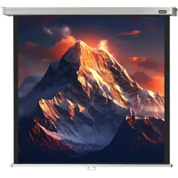 Celexon Leinwand Pro (119.69", 1:1), Leinwand, Weiss