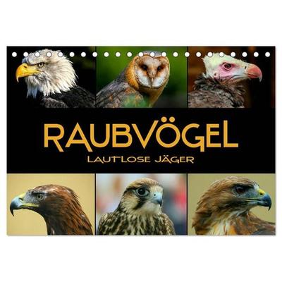 Raubvögel - lautlose Jäger (Tischkalender 2026 DIN A5 quer), CALVENDO Monatskalender